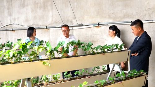科技興農繪藍圖 縣委書記楊家佳深入調研，擘畫鄉村產業振興新路徑
