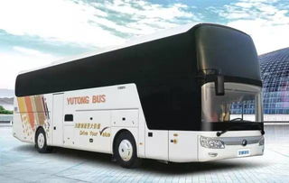 周末熱浪島四季恒溫水世界一日游，舊機動車煥發新活力